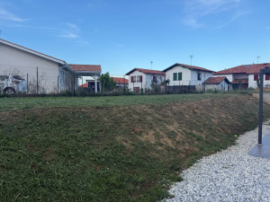 Photo de galerie - Débroussaillage jardin 