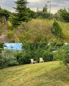 Photo de galerie - Débrousaillage 