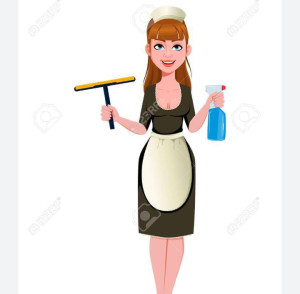 Photo de galerie - Ménage complet et soigné , travail sérieux et efficace 