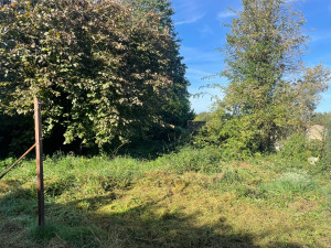 Photo de galerie - Tonte de pelouse - Débroussaillage