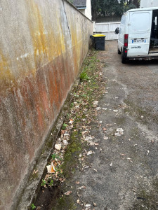 Photo de galerie - Paysagiste - Aménagement du jardin