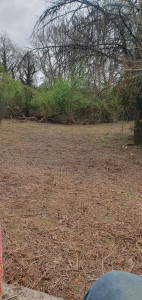 Photo de galerie - Debroussaillage de ronce chez un particulier 