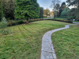 Photo de galerie - Tonte de pelouse - Débroussaillage