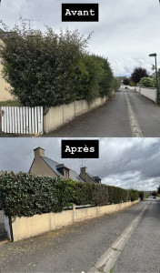 Photo de galerie - Taille de haies multiples essences 
