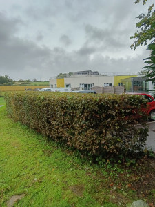 Photo de galerie - Après