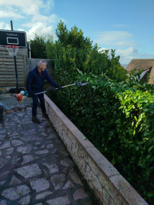 Photo de galerie - Taille de haies et d'arbustes