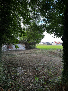 Photo de galerie - Tonte de pelouse - Débroussaillage