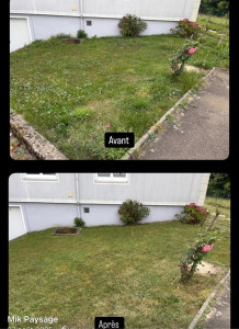 Photo de galerie - Tonte de pelouse - Débroussaillage