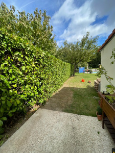 Photo de galerie - Taille de haies