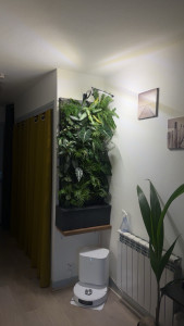 Photo de galerie - Mur végétal intérieur 100% vivant - autonome - très peu d’entretien - parfait pour votre espace intérieur -  pas besoin d’avoir la main verte ☀️ 