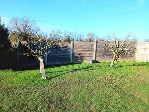 Photo de galerie - Elagage et coupe d'arbres