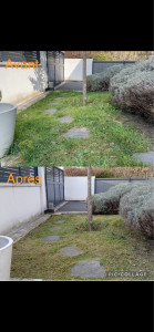 Photo de galerie - Tonte de pelouse - Débroussaillage