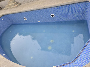 Photo de galerie - Entretien piscine