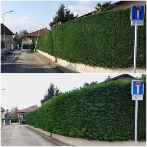 Photo de galerie - Le avant et le après qu’elle changement, la cliente était satisfaite de mon travail, je suis content qu’elle était satisfait la cliente et le client et pour du temps j’ai eu aucun mauvais avis, je suis satisfait de mon travail