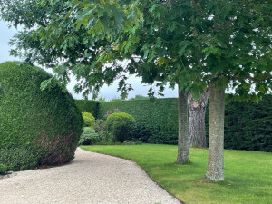 Photo de galerie - Tonte, bordure et désherbage 