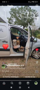 Photo de galerie - Garde animaux