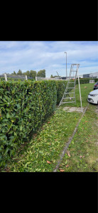 Photo de galerie - Tailles