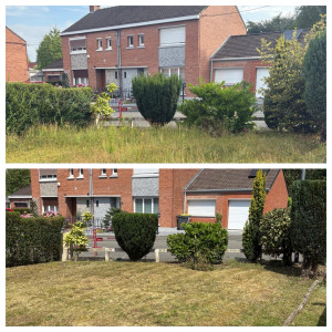 Photo de galerie - Tonte de pelouse - Débroussaillage