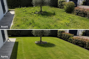Photo de galerie - Entretien d’un jardin 