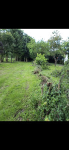 Photo de galerie - Abatage d'une haie d'aubépine et de ronces,devenue trop envahissante sur le terrain.
Gâchent également la profondeur du terrain .