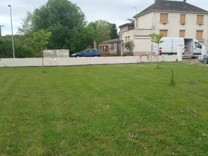 Photo de galerie - Tonte de pelouse 