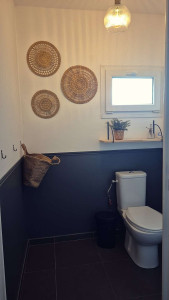 Photo de galerie - Rénovation toilette peinture et moulure 