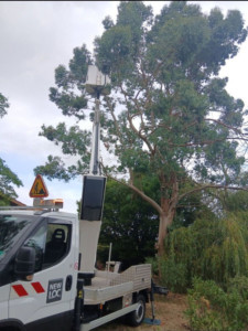 Photo de galerie - Élagage d’un eucalyptus à la nacelle