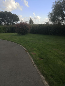 Photo de galerie - Coupe après 2 ans sans entretien 