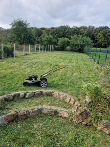 Photo de galerie - Tonte de pelouse