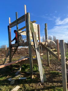 Photo de galerie - Montage cabane 