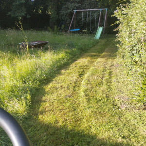 Photo de galerie - Tonte a la tondeuse autoportée d'une pelouse très haute (remise en état)