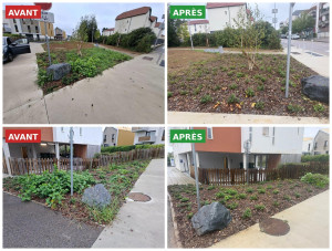 Photo de galerie - Paysagiste - Aménagement du jardin