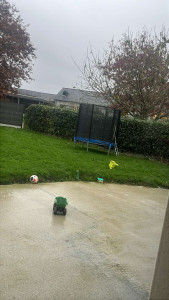 Photo de galerie - Taille de haies et d'arbustes