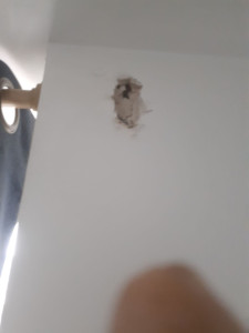 Photo de galerie - Rebouchage 