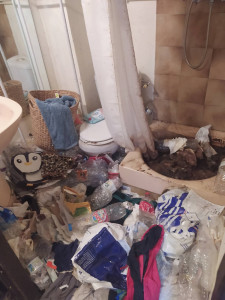 Photo de galerie - Ménage