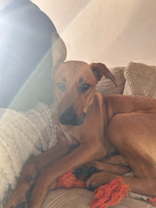 Photo de galerie - Kaï