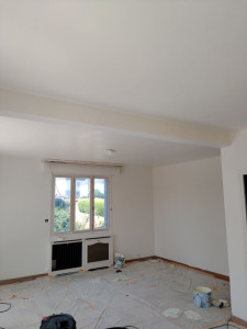Photo de galerie - Salon peinture plafond mur avec ratissage des murs a l'enduit