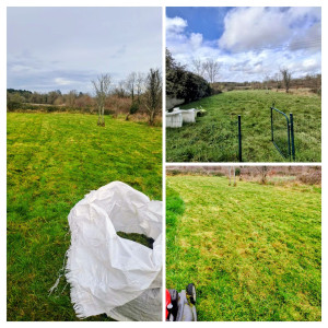 Photo de galerie - Tonte et débroussaillage.  Avant et après 