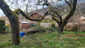 Photo de galerie - Tonte de pelouse - Débroussaillage