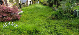 Photo de galerie - La jungle 