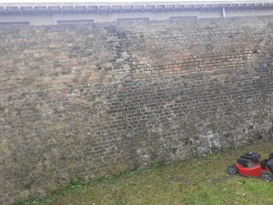 Photo de galerie - Tonte pelouse et enlever le lierre sur le mur 