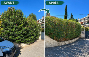 Photo de galerie - Paysagiste - Aménagement du jardin