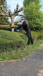 Photo de galerie - Taille de haie 