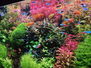 Photo de galerie - Autres cours loisirs