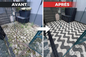 Photo de galerie - Avant Après 