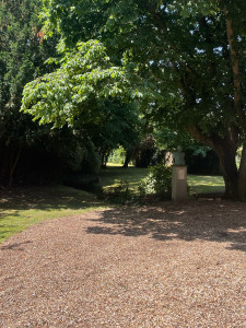 Photo de galerie - Tonte