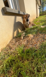 Photo de galerie - Garde au domicile de la personne pendant 5 jours
