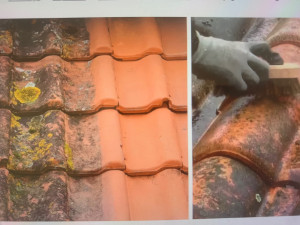 Photo de galerie - Bricolage et multi services