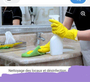 Photo de galerie - Désinfecté 