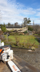 Photo de galerie - Débitage d'arbre